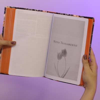 image_41d5f5dc-2882-4d1e-9bfa-b3840edfe6af