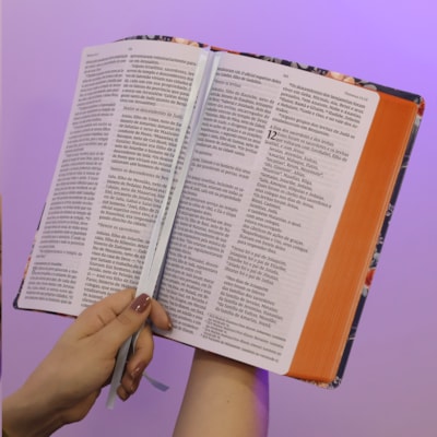 image_a2fe5bca-5934-4fae-a7ac-bf0dd9745ee6