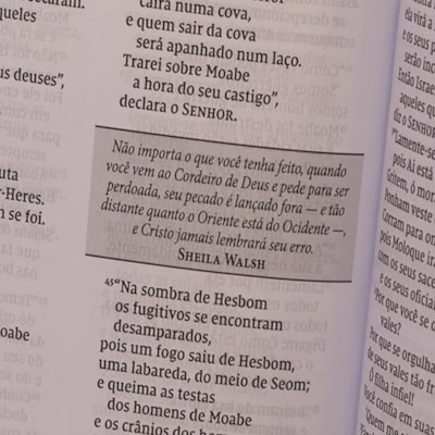 image_50810ce4-5215-4e67-a54c-21d967d356dd