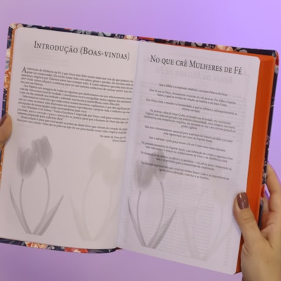 image_56527d86-bce0-4bcd-855f-74d159cf554a