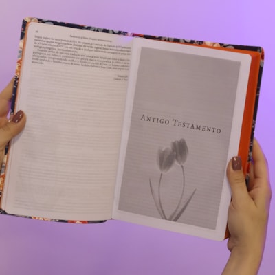 image_f94a9d9f-03df-4051-9145-7b6a03b98396