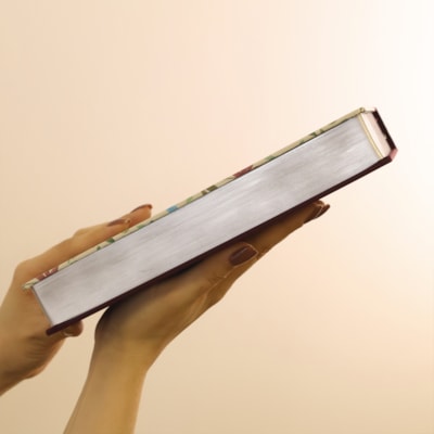 image_e336abd2-3dd6-4cea-8f4b-7809c3f48a33