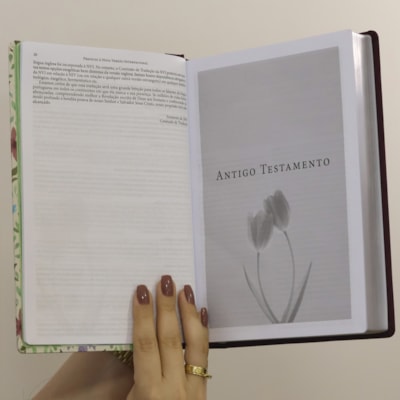 image_0387f3da-df43-4d9c-a290-ed4104e4a737