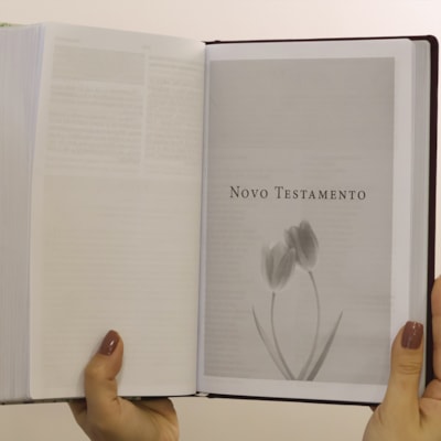 image_8aaa53cd-91dd-4737-baca-5938722e1581