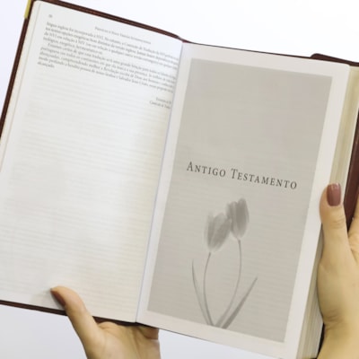 image_677f0ca6-a08b-4bd7-bb16-939f0cd12a7d