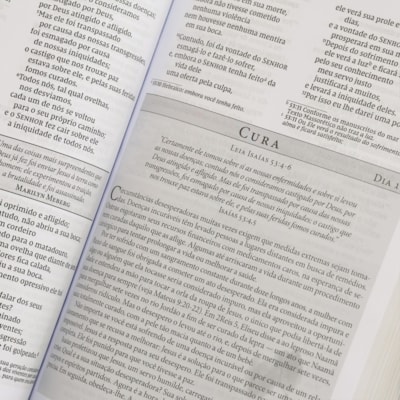 image_ba01ba6e-6fe9-4611-a240-ad400e5011cb