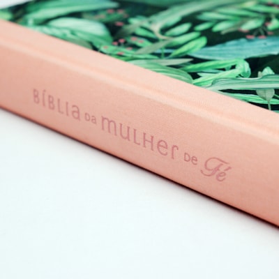 image_a693cbc2-7b2f-4445-bc3d-6fe2f0d7294c