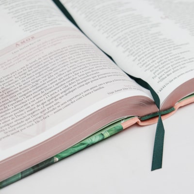 image_85a3a9cd-b2ad-438b-95a5-cbd8f434e901