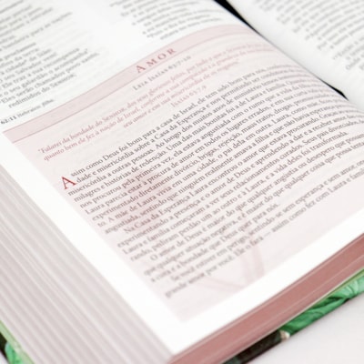 image_50594298-2b80-4849-bf4d-c091e5a4a3ee