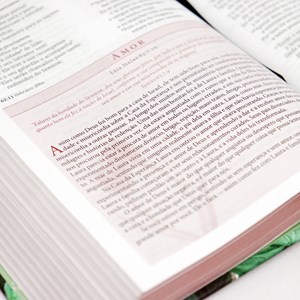 Bíblia Da Mulher De Fé | NVI | Letra Normal | Capa Dura Tecido Rosa e Folhagem