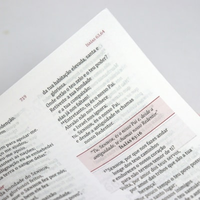 image_3286cbb7-e2c4-4953-bdd1-0d7d2753a3fa