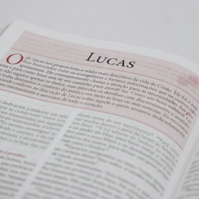 image_4895fef8-55df-46a7-8163-cad8ee592e6f