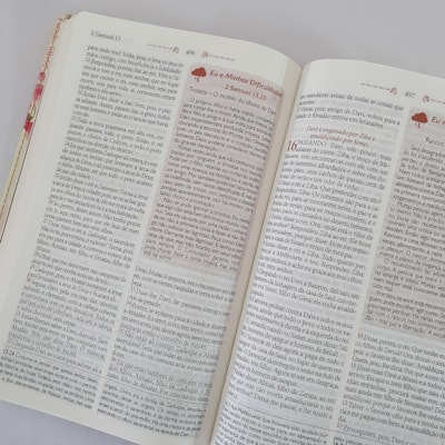 image_094111e9-5d58-4187-b1bd-8bc823d87237