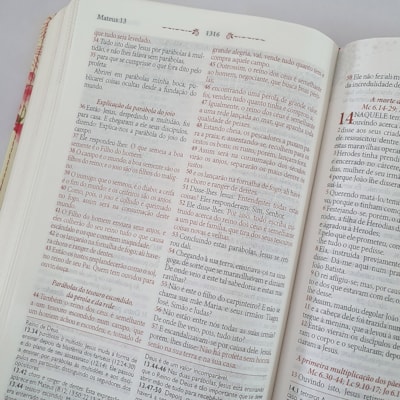 image_52cd3032-e0f2-4fe0-8421-39286cfa747b