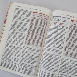 Bíblia da Mulher Virtuosa | ARC | Letra Normal | PU Luxo Rosê