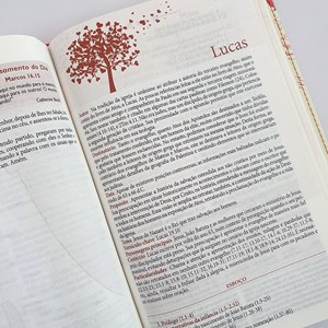 Bíblia da Mulher Virtuosa | ARC | Letra Normal | PU Luxo Rosê