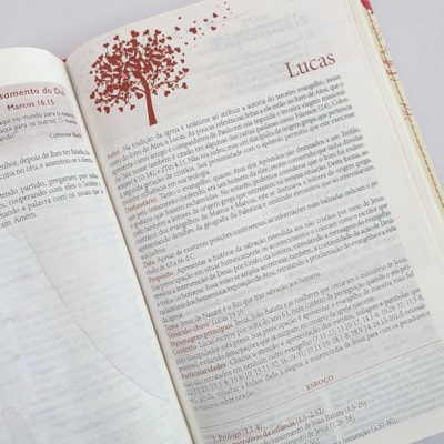 image_22380df3-b503-4f9b-a3ab-9bdbea4c8ff8