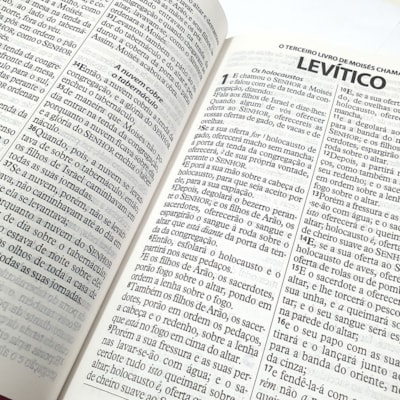 image_8a13d8c5-3743-4f32-86c7-8abd16013594