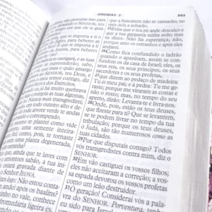 Segunda imagem do produto Bíblia da Mulher Vitoriosa | Letra Gigante | ARC | Capa Luxo Floral Bege