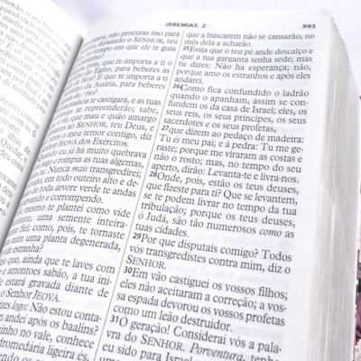 image_88a1100c-f825-4758-ba00-9952e5d3aaec