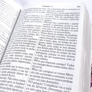 Bíblia da Mulher Vitoriosa | Letra Gigante | ARC | Capa Luxo Floral Bege