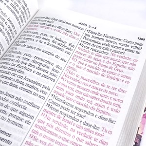 Bíblia da Mulher Vitoriosa | Letra Gigante | ARC | Capa Luxo Floral Bege