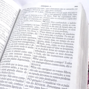 Segunda imagem do produto Bíblia da Mulher Vitoriosa | Letra Gigante | ARC | Capa Luxo Rosa