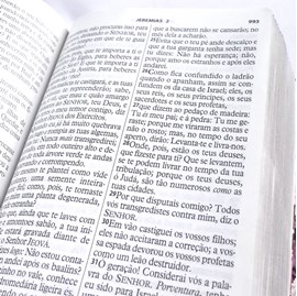 Bíblia da Mulher Vitoriosa | Letra Gigante | ARC | Capa Luxo Rosa