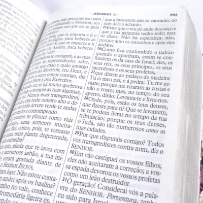 image_6b6861f0-77fa-4924-be47-749f71dad0b3