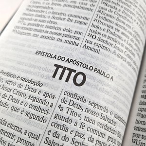 Bíblia da Mulher Vitoriosa | Letra Gigante | ARC | Dourada