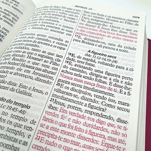 Bíblia da Mulher Vitoriosa | Letra Gigante | ARC | Lilas e Rosa