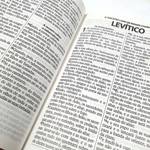 Bíblia da Mulher Vitoriosa | Letra Gigante | ARC | Lilas e Rosa