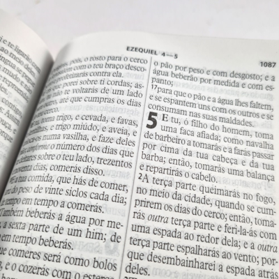 image_89aa0424-e2c7-4de0-81df-40a5866dfe73