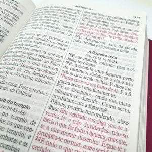 Segunda imagem do produto Bíblia da Mulher Vitoriosa | Letra Gigante | ARC | Vinho