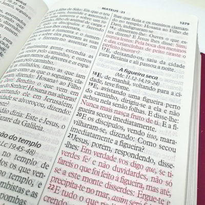 image_ff5195b2-e6d6-465a-b9d6-9e517b9ce62d