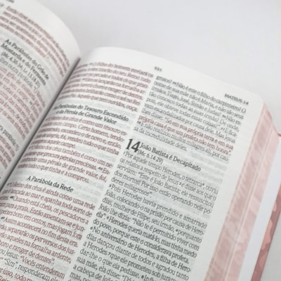 image_a2ba8648-f670-4956-9095-607a1f0f3ac2