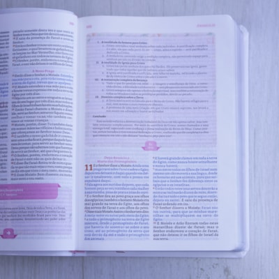 image_17feee5b-d8de-4d31-b3b4-ef6cb1a504a0