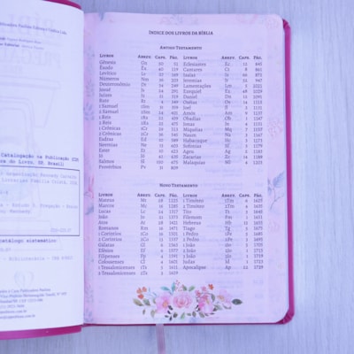 image_e3369cd8-f3c5-4189-b3ef-a17df2c9b7a8