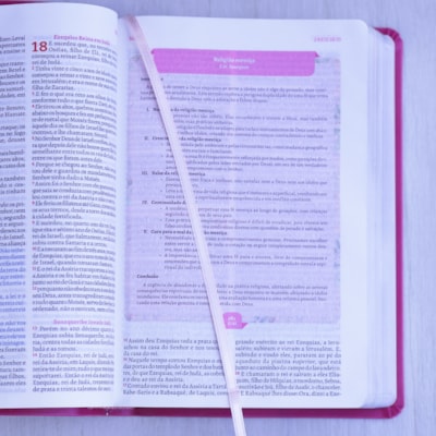 image_eb7d2c8e-ed8e-4860-ae23-69909dc01268