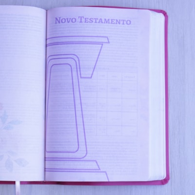 image_2606e731-7dec-45df-9420-bc5204071121