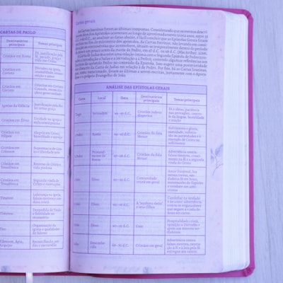 image_614389f5-932a-48ad-afdf-07494f826c9f