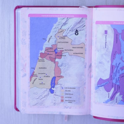 image_77a00ca8-9ab2-497d-859a-661fc6ee8965