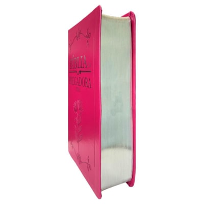 image_855964f1-e0b5-4905-bc1c-11189c1648ed