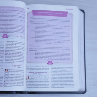 image_53afc81a-09ef-4f1d-906f-778d06041e0b