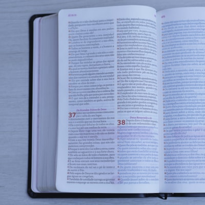 image_7ab0577e-2abb-442e-931e-46237f2450b9