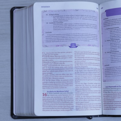 image_3ba2ea49-de52-423e-af2b-c46cc02aa2e3