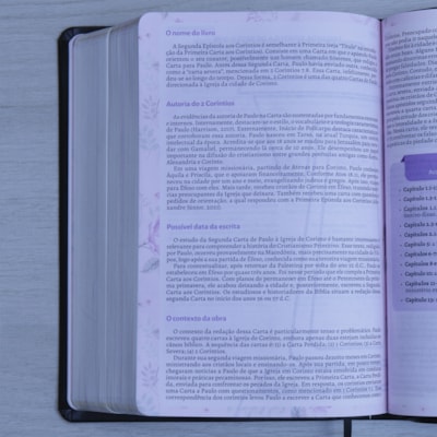 image_3a3b4368-29ef-4394-b3c8-0df7506b8880