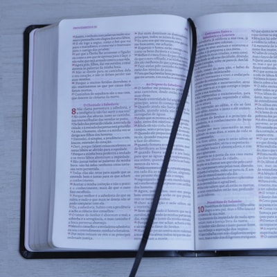 image_10765180-dedb-4017-807b-954f07fac131