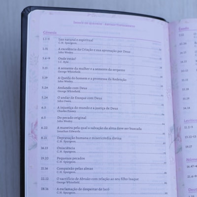 image_aaa2378b-2822-4136-b33b-bfff0c841b6e