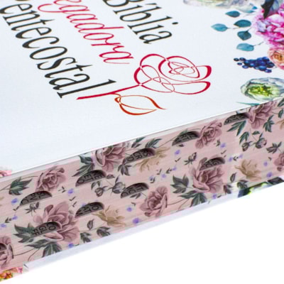 image_c58f8986-cf71-4b53-80f4-31359aaad098